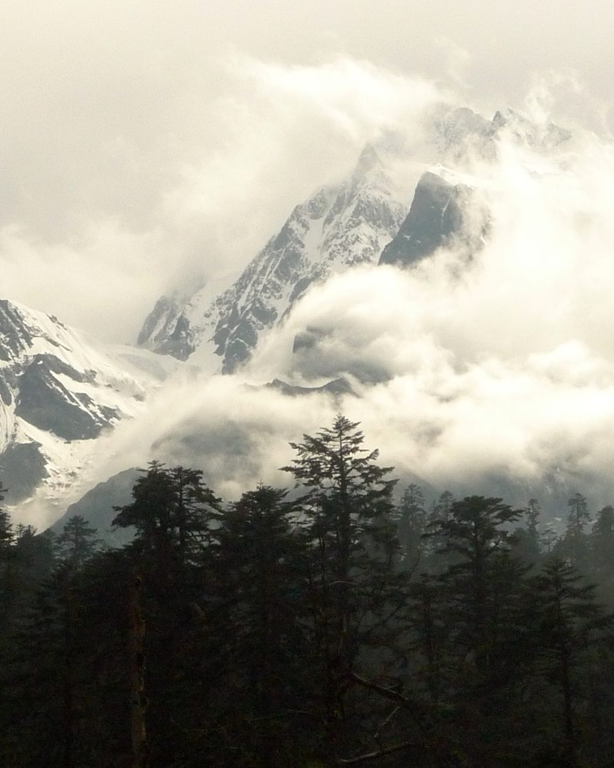 Snow-clad summit of Mount Gongga (Minya Konka) breaking through cloud above coniferous forest, Sichuan, China