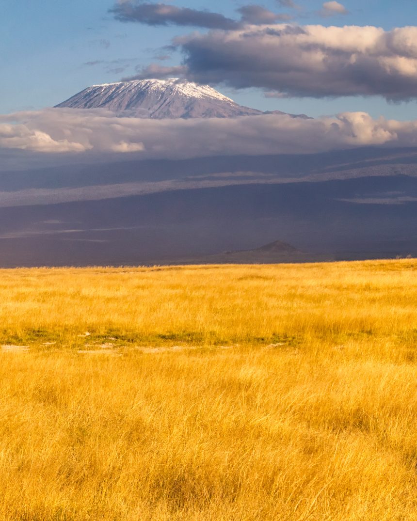 Snow-capped Kibo summit of Mount Kilimanjaro rising above cloud cover, seen across golden savanna grassland, Tanzania
